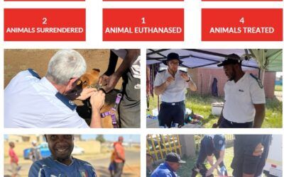 Animal Aid Action