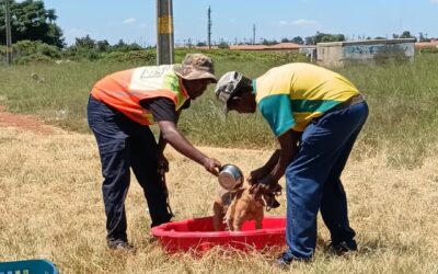 Beyond Rescue: How SkyJacks Supports SPCA’s Mission to Uplift Communities